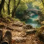 circuit du val de siagne sentier sous-bois pont de tuve